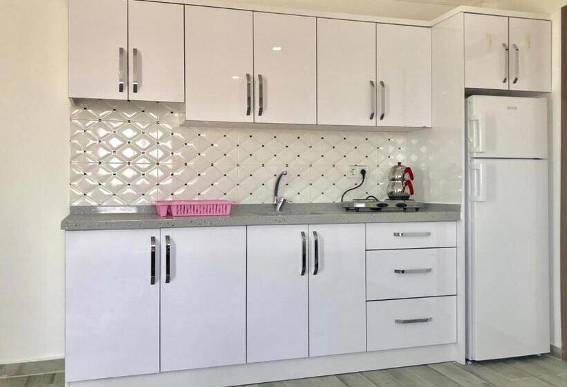 Апартаменты 1 Спальня, çi̇çek Apart Otel