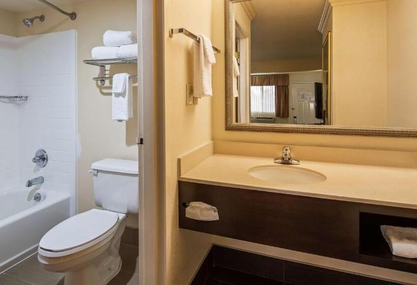 חדר סטנדרט, Best Western Inn & Suites