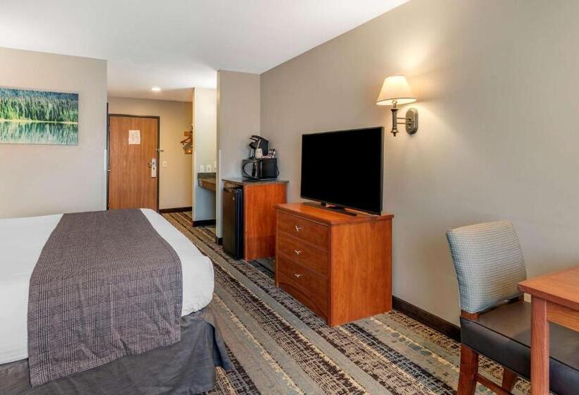 Номер Стандарт Кровать Кинг Адаптированный для Инвалидов, Best Western Newberg Inn