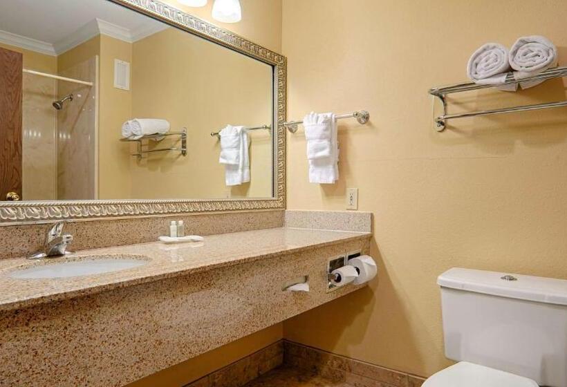 キングサイズベッドのスタンダードルーム, Best Western Plus Southpark Inn & Suites