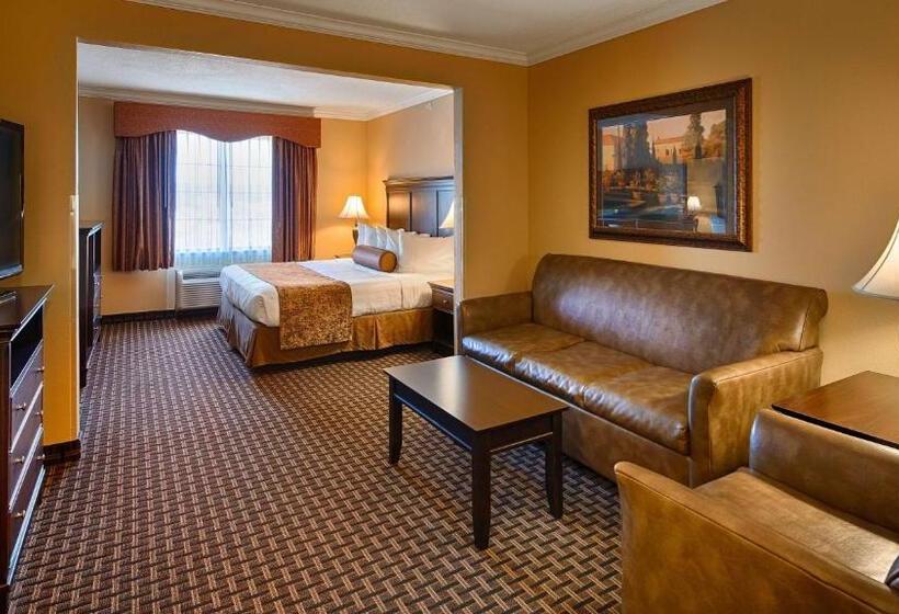 Стандартный Номер Кровать Кинг, Best Western Plus Southpark Inn & Suites