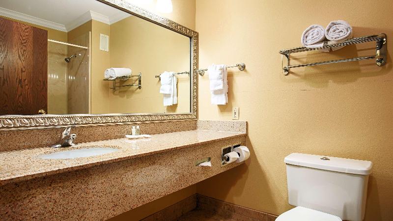 Стандартный Номер Кровать Кинг, Best Western Plus Southpark Inn & Suites