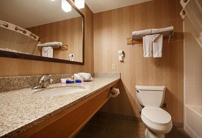 스탠다드 룸 킹사이즈 침대, Best Western Rory & Ryan Inns