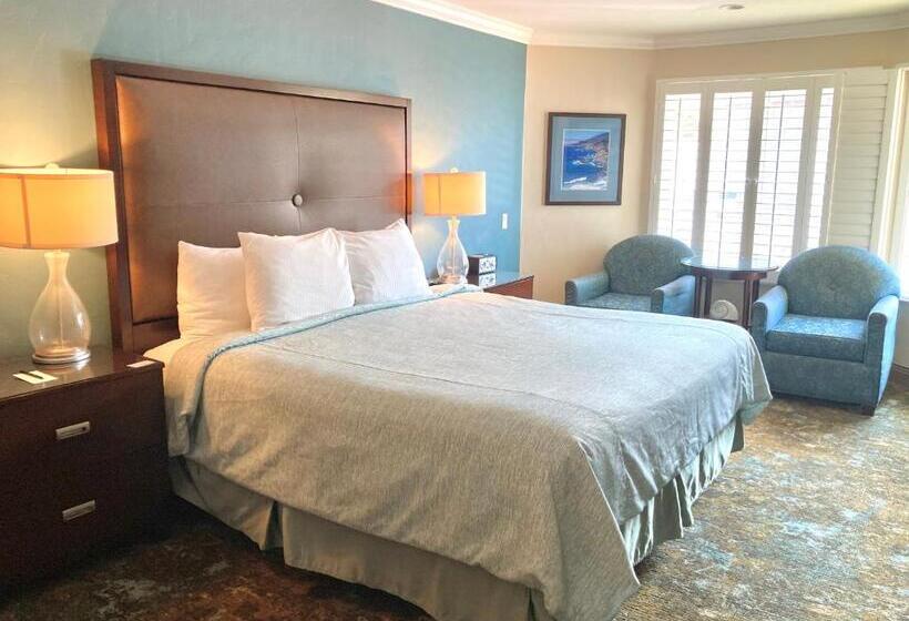 스탠다드 룸 킹사이즈 침대, Blue Dolphin Inn