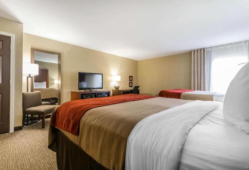 스탠다드 룸, Comfort Inn & Suites