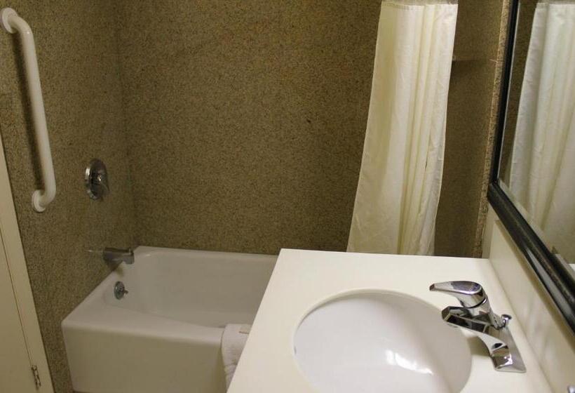スタンダードルーム, Budget Inn   Farmington