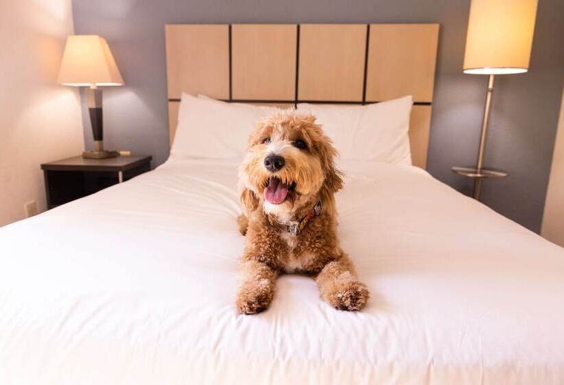 Люкс, Sonesta Simply Suites Chicago Libertyville