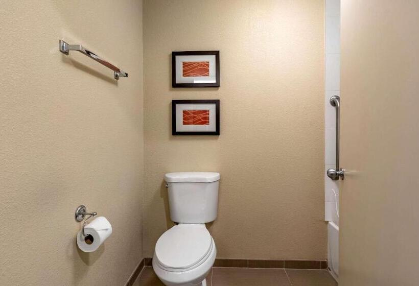 Номер Стандарт Кровать Кинг Адаптированный для Инвалидов, Comfort Inn Roseburg