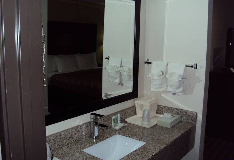 ２ダブルベッドのスタンダードルーム, Quality Inn Carbondale University Area
