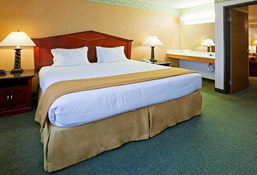 Стандартный Номер Кровать Кинг, Norwood Inn & Suites Eagan St Paul & Mall Of America