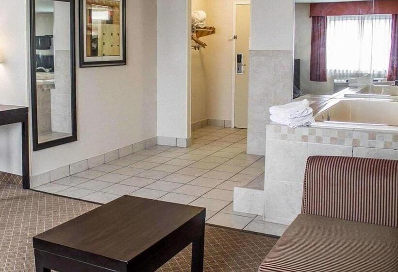 Номер Стандарт, Norwood Inn & Suites Eagan St Paul & Mall Of America