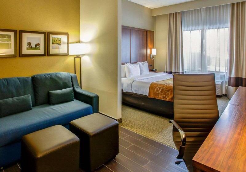 스탠다드 룸 킹사이즈 침대, Comfort Suites Georgetown