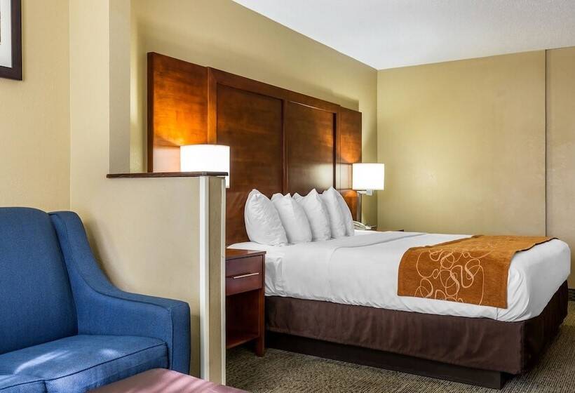 套房, Comfort Suites Near I 80 And I 94