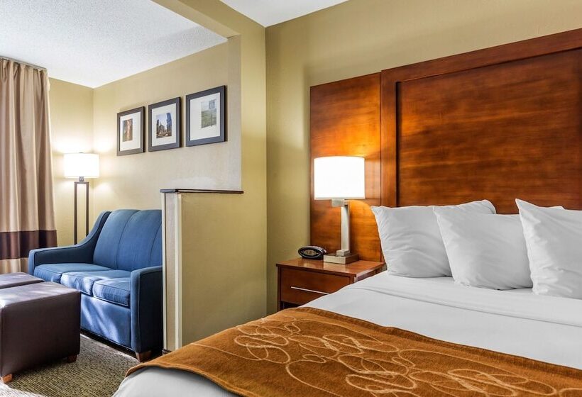 套房, Comfort Suites Near I 80 And I 94