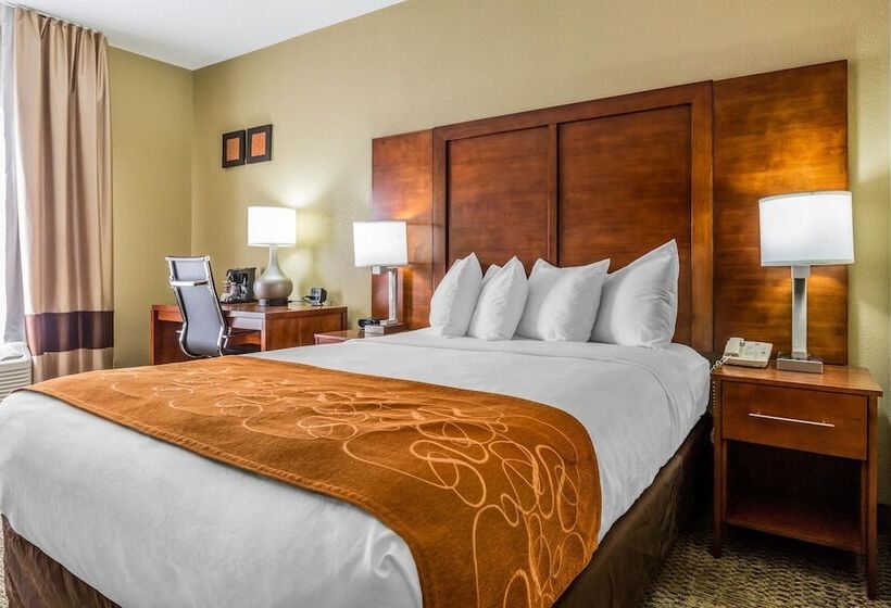 适合残疾人士使用的套间, Comfort Suites Near I 80 And I 94