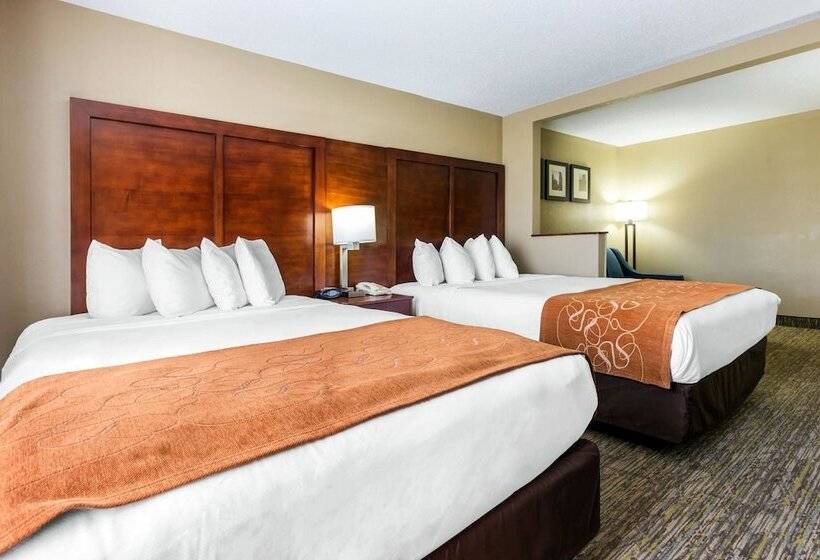 套房, Comfort Suites Near I 80 And I 94