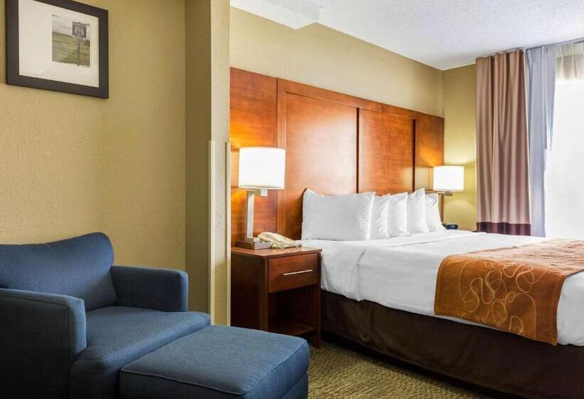 キングサイズベッドのスイートルーム, Comfort Suites Near I 80 And I 94