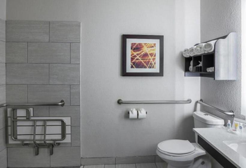 Люкс Адаптированный для Инвалидов, Comfort Suites Lewisville