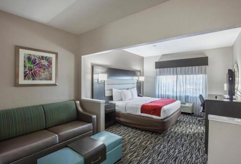 Люкс Адаптированный для Инвалидов, Comfort Suites Lewisville