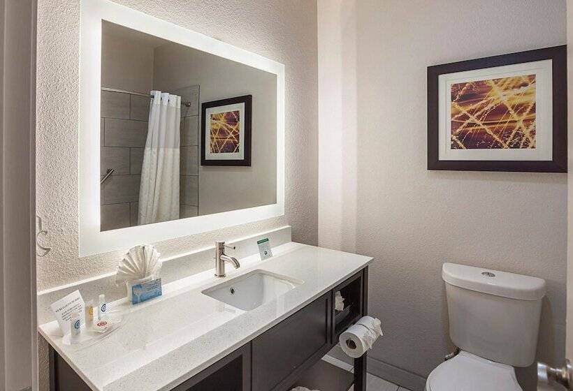Люкс Адаптированный для Инвалидов, Comfort Suites Lewisville