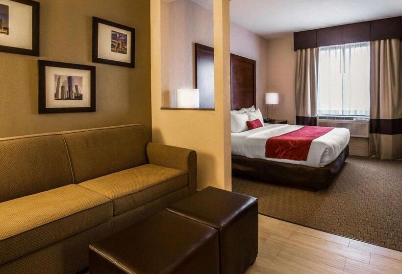 스위트 킹사이즈 침대, Comfort Suites Stafford Near Sugarland