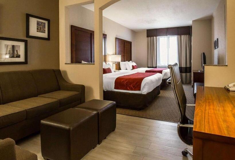 스위트, Comfort Suites Stafford Near Sugarland