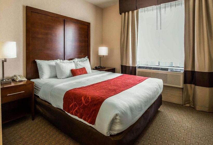 디럭스 스위트 킹 침대, Comfort Suites Stafford Near Sugarland