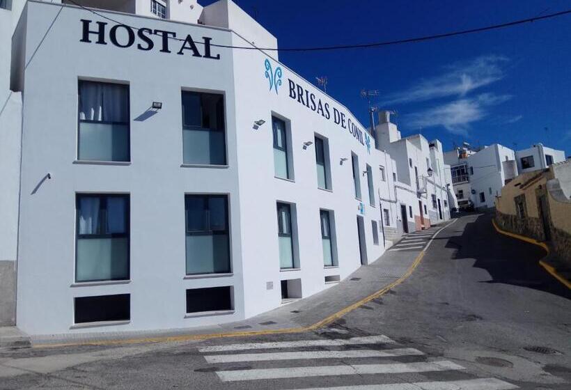 サイドオーシャンビュースタンダードルーム, Hostal Brisas De Conil