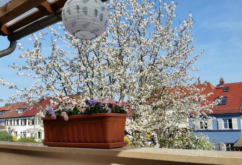 חדר סטנדרט עם מרפסת, Pension A La Kleinert