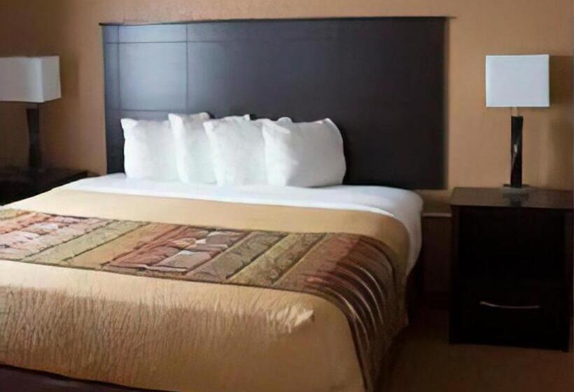 스탠다드 룸 킹사이즈 침대, Chieftain Conference Center