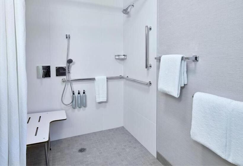스탠다드 룸, Courtyard By Marriott Detroit Livonia