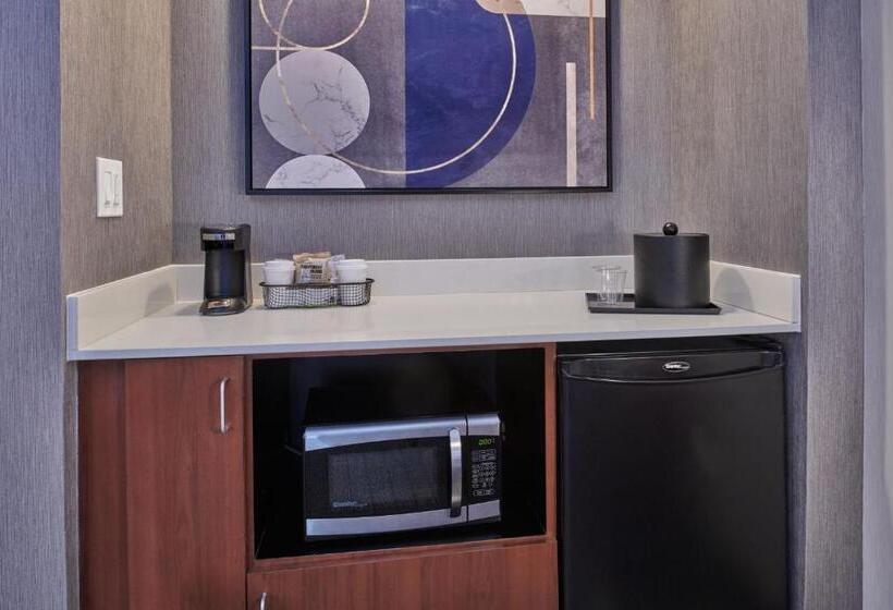 Люкс Кровать Кинг, Courtyard By Marriott Detroit Livonia