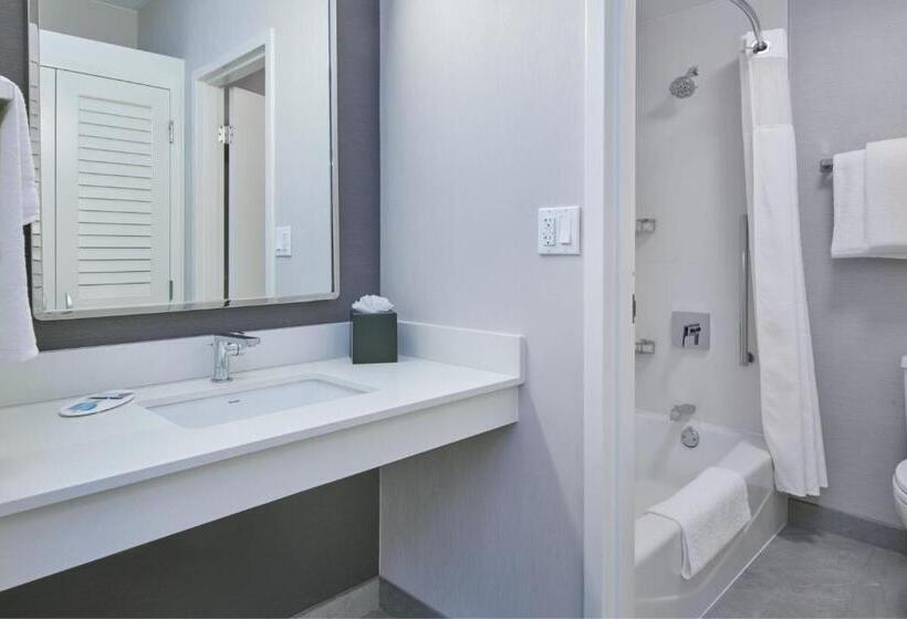 Люкс, Courtyard By Marriott Detroit Livonia