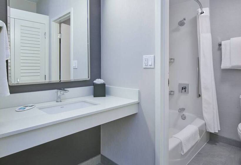 스위트, Courtyard By Marriott Detroit Livonia
