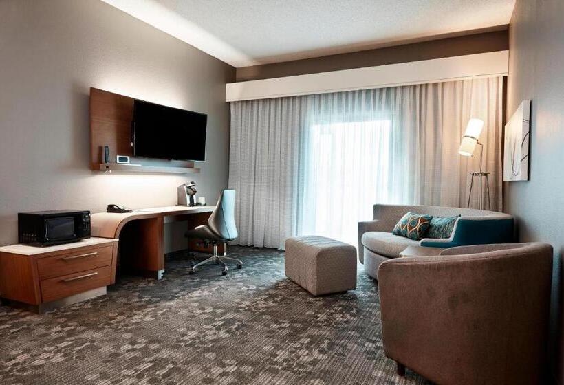 Стандартный Номер Кровать Кинг, Courtyard Cincinnati Airport South/florence