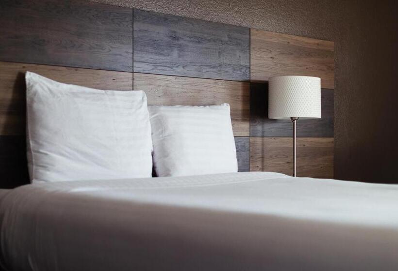 Номер Стандарт, Cozy Inn