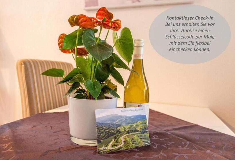 Студия Стандарт, Braviscasa   Ferienresidenz Bärenhof Titisee