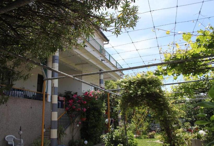 اتاق اکونومی, Hostel  Sema