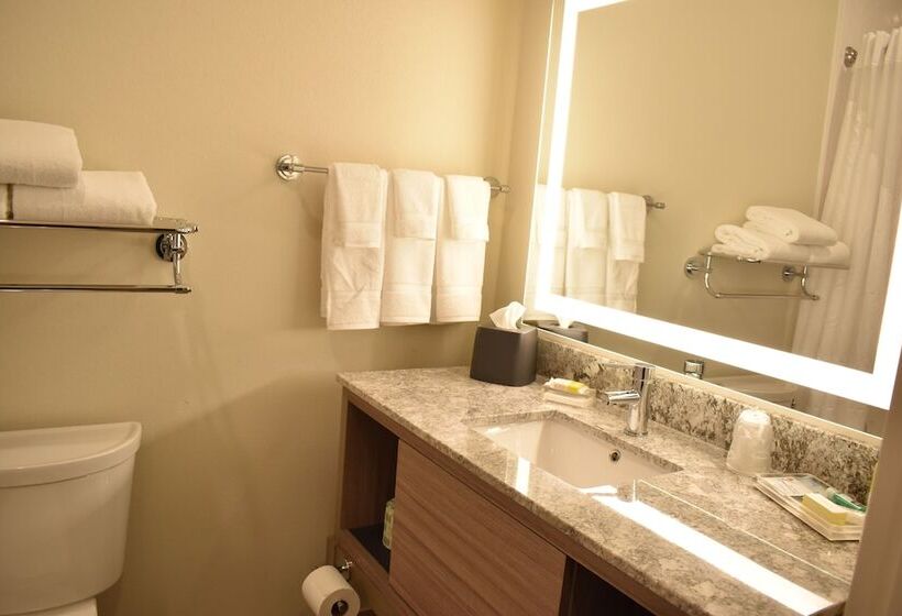标准间, Holiday Inn   Kansas City   Northeast, An Ihg