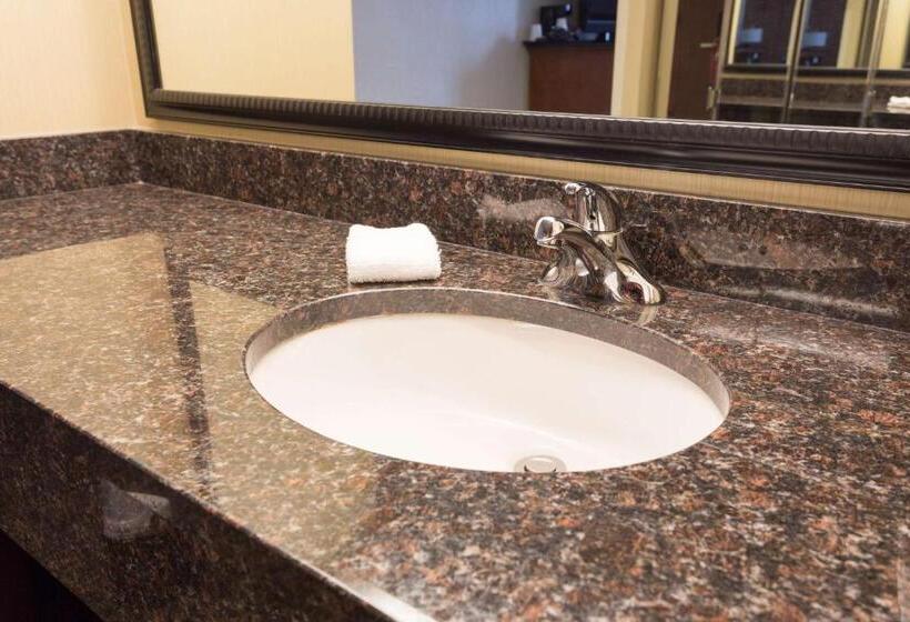 Номер Deluxe Адаптированный для Инвалидов, Drury Inn & Suites Frankenmuth