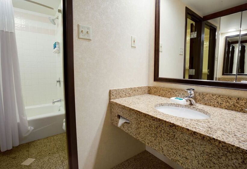 豪华房间, Pear Tree Inn St Louis Convention Center