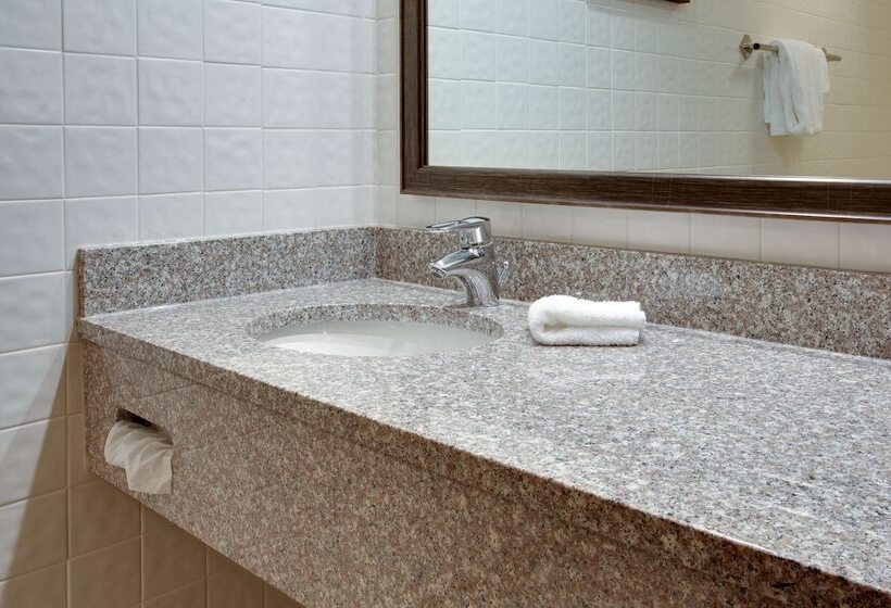 Pokój Deluxe, Drury Inn & Suites Terre Haute