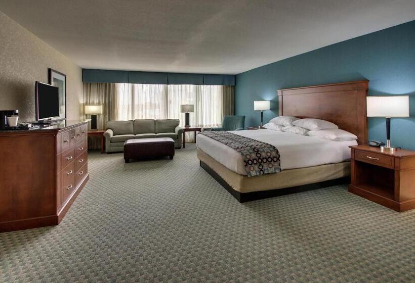 带大床的套房, Sonesta Essential Houston Hobby Airport