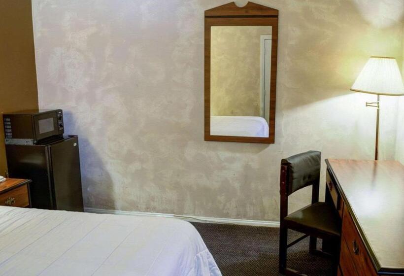 带大床的标准间, Rodeway Inn Near Venice Beach
