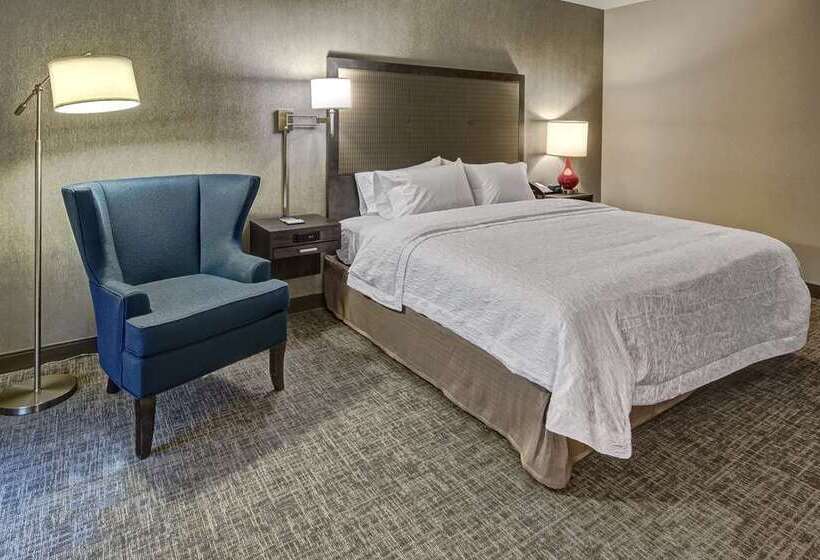 Номер Стандарт Кровать Кинг Адаптированный для Инвалидов, Hampton Inn & Suites D'iberville Biloxi