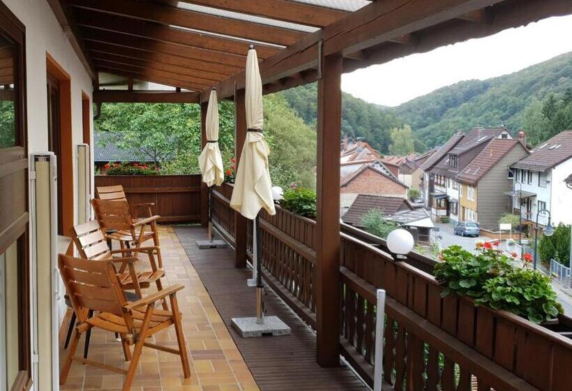 Номер Стандарт, Haus Am Waldesrand