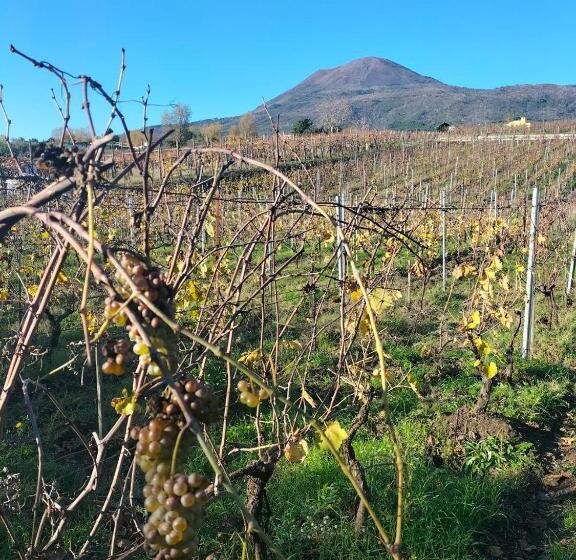 Студио Стандарт с Видом, Vesuvio Inn Bed & Wine Experience