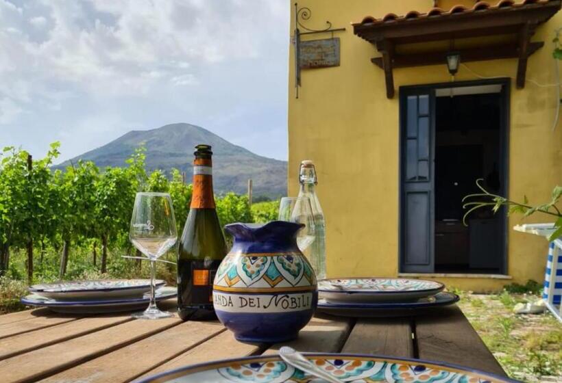Студио Стандарт с Видом, Vesuvio Inn Bed & Wine Experience