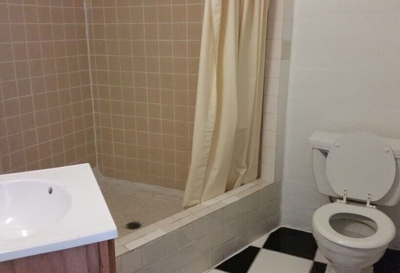 Номер Стандарт 2 Двуспальные Кровати, Essex House Motel