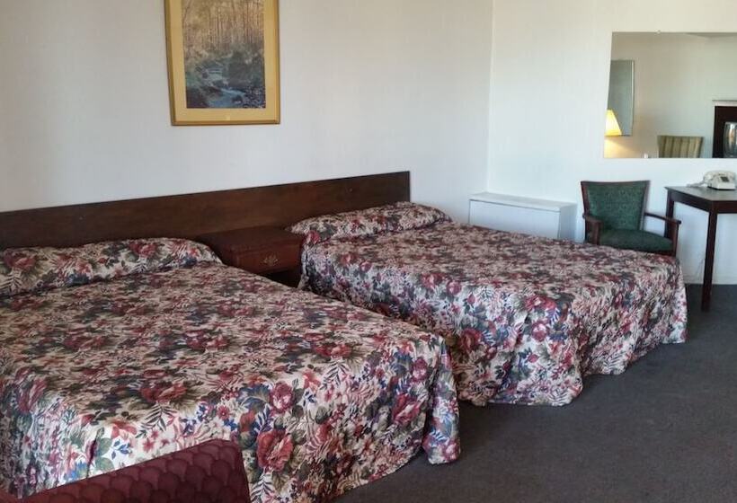 Номер Стандарт 2 Двуспальные Кровати, Essex House Motel